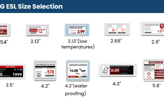 ESL Size Selection